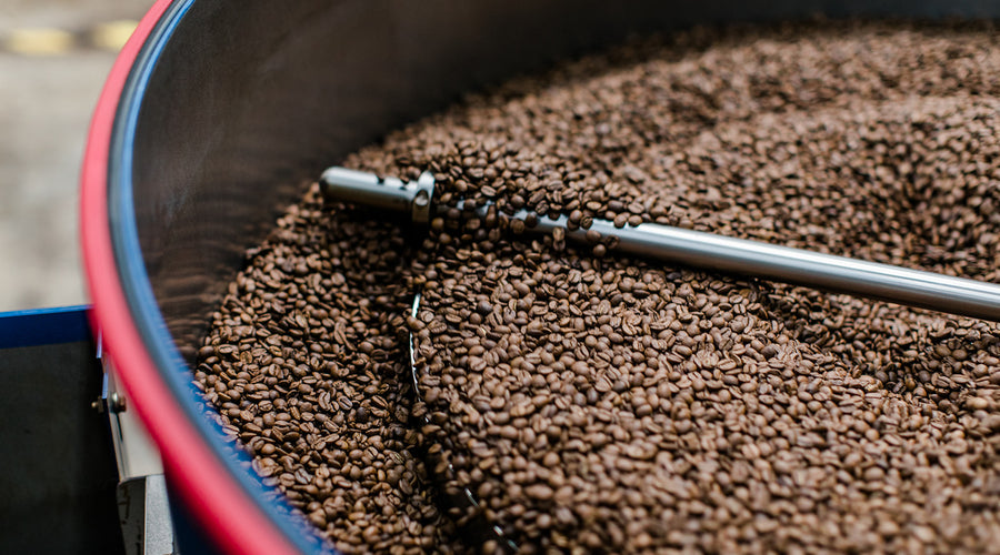 Benjamin Do: Brewing Dreams at Commonwealth Joe