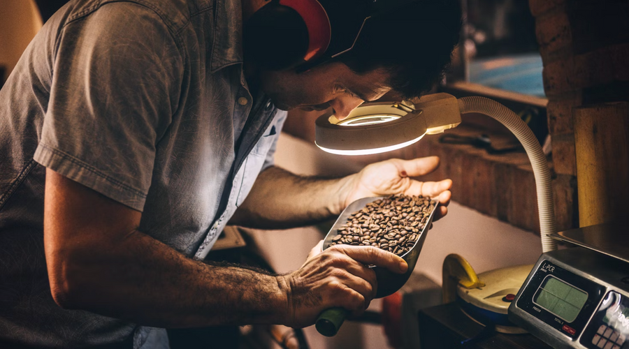 Caffeinated Conquest: Discovering Business Growth With Our Coffee Delivery Service