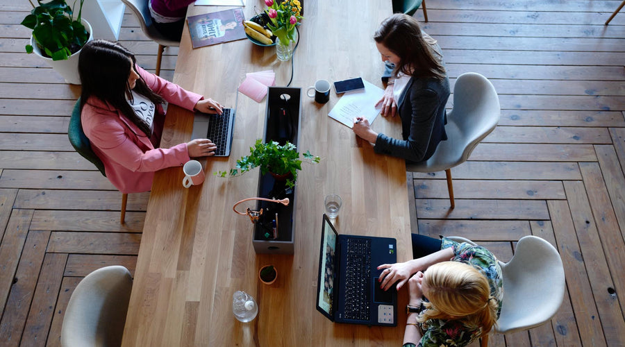 Elements that Most Companies Overlook When Establishing a Vibrant Work Environment